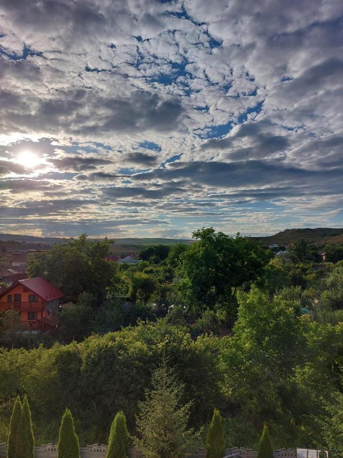 Daiana Residence Cabane Turda Zewnętrze zdjęcie